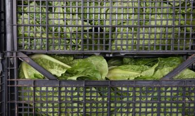 Μέχρι 31/3 οι αιτήσεις ενίσχυσης στους τ