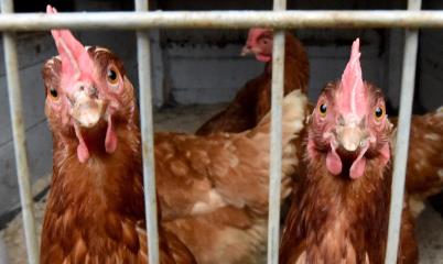 Ετήσια μείωση 32% και μηνιαία μείωση 60%