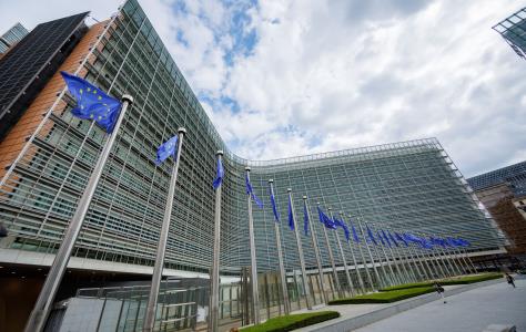 Κομισιόν: 170.000 και πλέον στελέχη επιβ