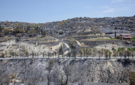 Πράσινο φως από Ευρωκοινοβούλιο σε ευρωπ