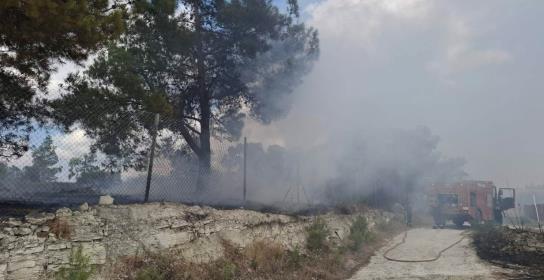 Πέντε δεκάρια γης έκαψε δασική πυρκαγιά 
