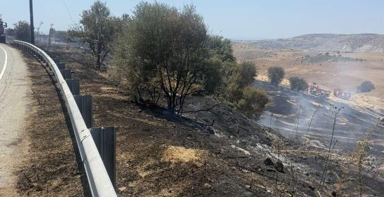 Υπό πλήρη έλεγχο δασική πυρκαγιά στο Μον
