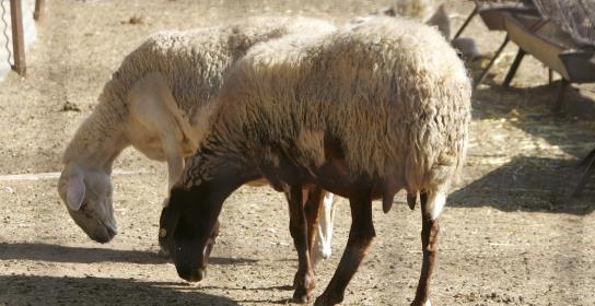 Απαιτείται πλήρης συμμόρφωση, οι στιγμές