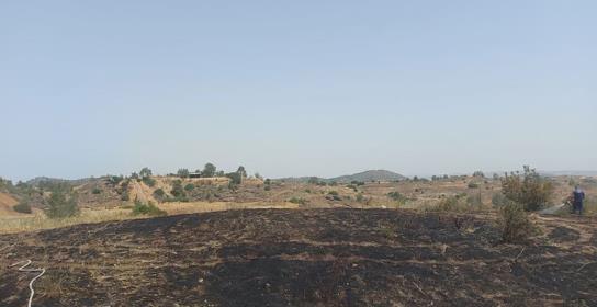 Τέθηκε υπό πλήρη έλεγχο πυρκαγιά στον Κό