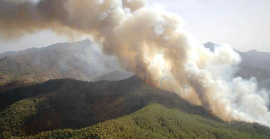 Υπό πλήρη έλεγχο δασική πυρκαγιά σε περι