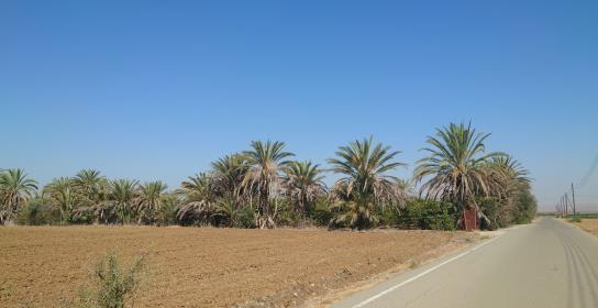 Εποικος στη νεκρή ζώνη καταγγέλλει ο κοι