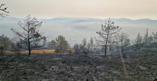 Δύο πυρκαγιές εκδηλώθηκαν στην επαρχία Π