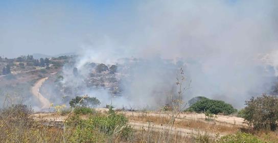 Υπό πλήρη έλεγχο πυρκαγιά στην Πέγεια πο