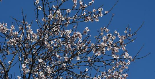 Επ. Περιβάλλοντος: Υπεγράφη σύμβαση για 