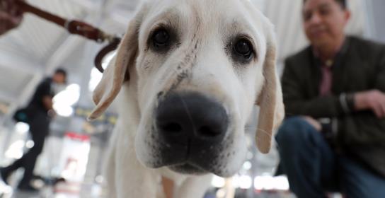 Ικανοποίηση Επιτρόπου Περιβάλλοντος για 