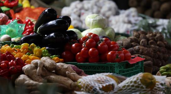 Στις τροφιμογενείς ασθένειες εστιάζει η 