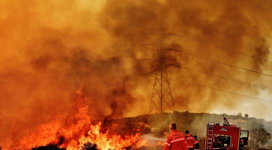Πυρκαγιά πλησίον της Φοίτης έκαψε έκταση
