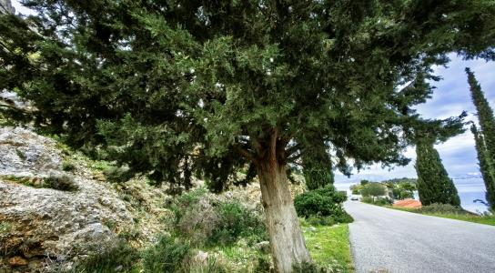 Τα ταξίδια του Ν. Καζαντζάκη γίνονται δι