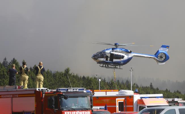 Επείγει η αλλαγή προς μικτά δάση, τονίζε