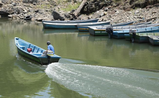 Εξωτικά είδη εμφανίζονται στα ανοιχτά τη