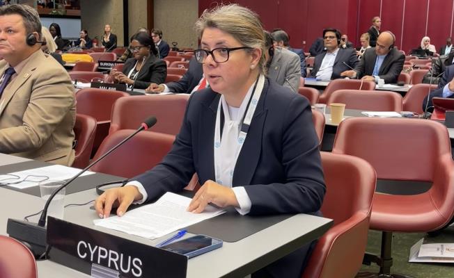 Παρέμβαση Ερωτοκρίτου και Ορφανίδου στη 