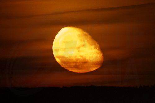 Αστροναύτης του Artemis II αποθεώνει την ταινία «Project Hail Mary» από το διάστημα