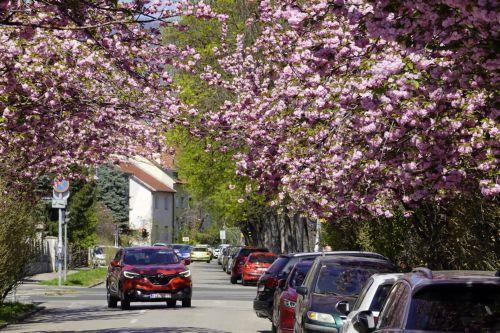 Kıbrıs’ta Hava Durumu
