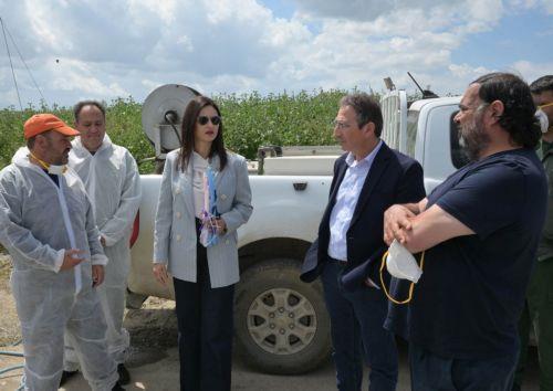 Cyprus continues animal culling over FMD, tightens penalties and stresses halloumi dialogue