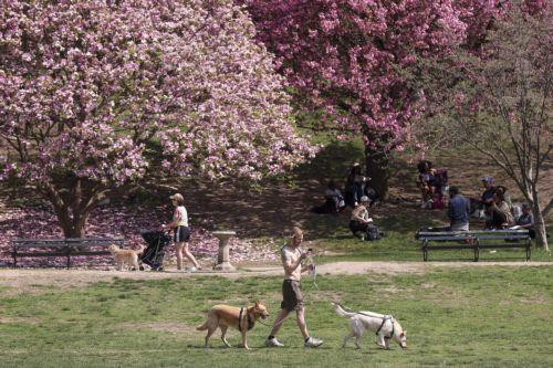 Kıbrıs’ta Hava Durumu