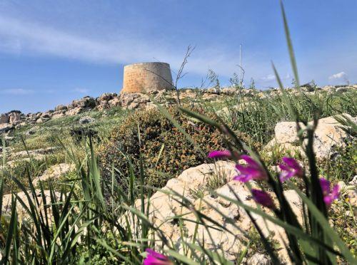 Η Ξυλοφάγου ένα από τα πιο αυθεντικά διαμάντια της επαρχίας Λάρνακας, λέει η ΕΤΑΠ