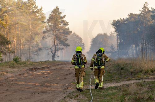Τουλάχιστον πέντε δασικές πυρκαγιές μαίνονται στην Ολλανδία