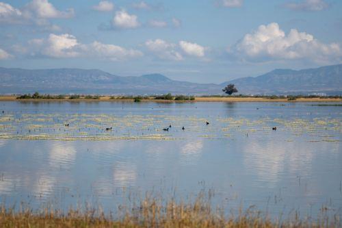 UNDP: Rehabilitation of Kouklia reservoir in Mesaoria strengthens climate resilience