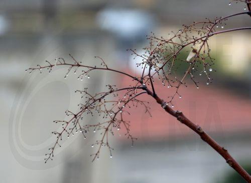 Έντονη βροχόπτωση στον αυτοκινητόδρομο στην περιοχή Πέρα Χωριού Νήσου