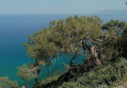 Παράδειγμα βιοποικιλότητας Κύπρου και προκλήσεων ο Ακάμας, λέει η Επίτροπος Περιβάλλοντος