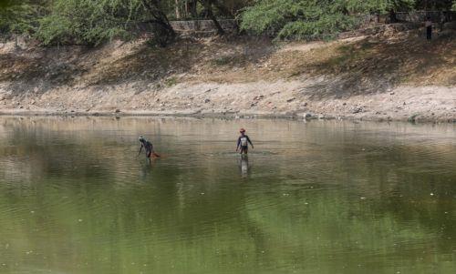 Eιδικοί εκτιμούν ότι τα φράγματα είναι υπεύθυνα για την εξαφάνιση των παραλιών