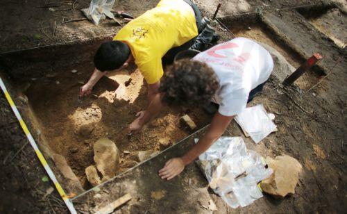 Γενετική ομοιομορφία των ύστερων Νεάντερταλ συνδέεται με την εξαφάνισή τους, δείχνει μελέτη Ελληνίδας ερευνήτριας