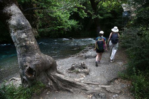 Στο 85% οι κρατήσεις, ορατή η επίπτωση από συρράξεις λένε στο ΚΥΠΕ οι ΠΑΣΥΞΕ-ACTTA