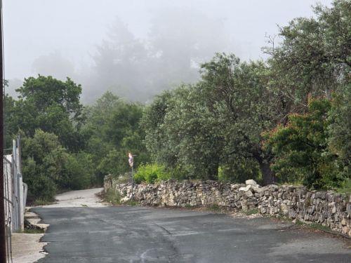 Υπό έλεγχο δασική πυρκαγιά στην κοινότητα Φύτη