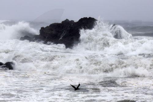 Oceana urges Europe to turn ocean pledges into action