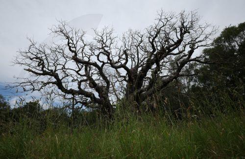 OHΕ: Αν οι εταιρείες δεν επενδύσουν σε γη-νερό δεν θα υπάρχουν σε 10-15 χρόνια