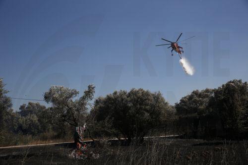 Πτώση πυροσβεστικού ελικοπτέρου στο Μέτσοβο, διασώθηκαν τα μέλη του πληρώματος