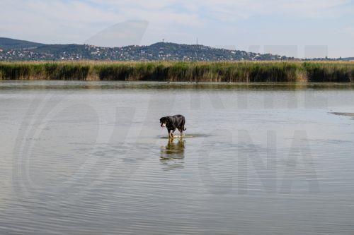 Συνεχίζεται η παγκόσμια συνεργασία για το κλίμα άσχετα αν χώρες απουσιάζουν, λέει το Πεκίνο