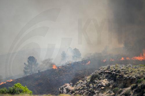 Στους 12 οι νεκροί και στους 23 οι αγνοούμενοι από την πυρκαγιά στην Αλμερία