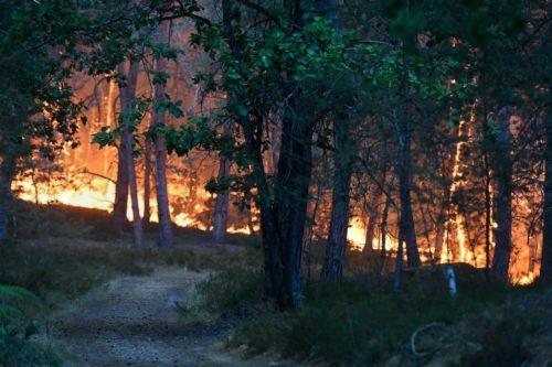 Μαίνεται η πυρκαγιά στο δάσος Φοντενεμπλό της Γαλλίας, κάηκαν σχεδόν 10.000 στρέμματα