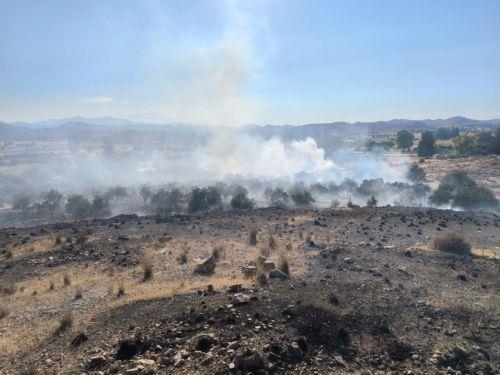 Υπό πλήρη έλεγχο τέθηκε η πυρκαγιά στα Λύμπια, έκαψε επτά δεκάρια