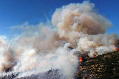 Πύρινος εφιάλτης στην Ελλάδα, συνεχίζεται η μάχη με τη φωτιά σε πολλαπλά μέτωπα