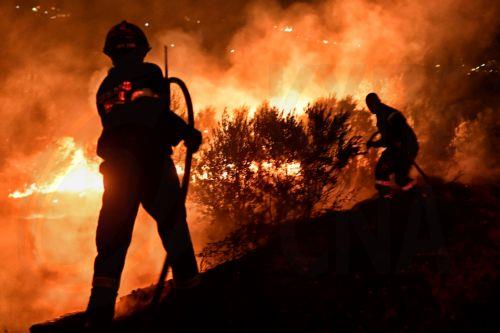 Μάχη με τις φλογες σε Αττική, Βοιωτία και Φωκίδα και νέα φωτιά στην Κεφαλονιά