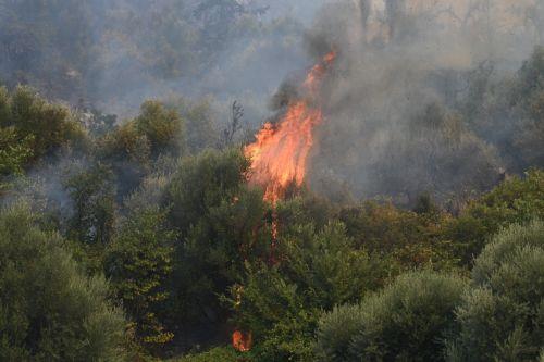 Μάχη με τις φλόγες δίνουν οι πυροσβεστικές δυνάμεις σε Βοιωτία και Αττική