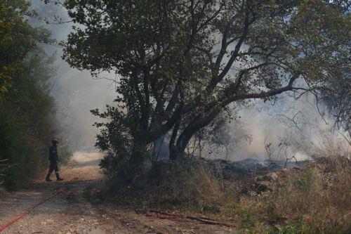 Διάσπαρτες εστίες φωτιάς στην περιοχή της Αιγιάλειας, λέει ο Αντιδήμαρχος
