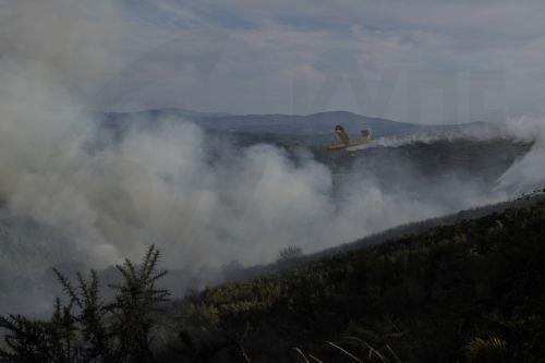 Δασικές πυρκαγιές προκάλεσαν εκτεταμένες καταστροφές στη Σποκέιν στις βορειοδυτικές ΗΠΑ