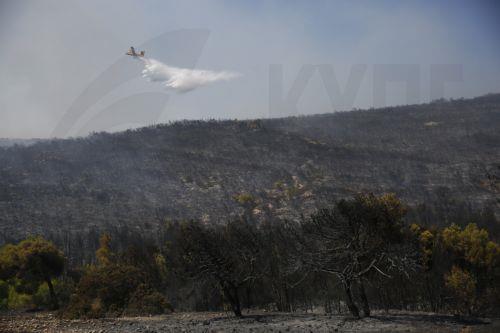 Τέσσερις συλλήψεις για εμπρησμούς στην Ελλάδα, 30 αγροτοδασικές πυρκαγιές το τελευταίο 24ωρο