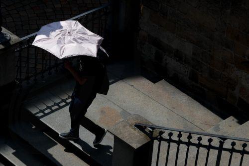 Ρεκόρ 15.800 θανάτων λόγω καύσωνα στη Γερμανία αυτό το καλοκαίρι