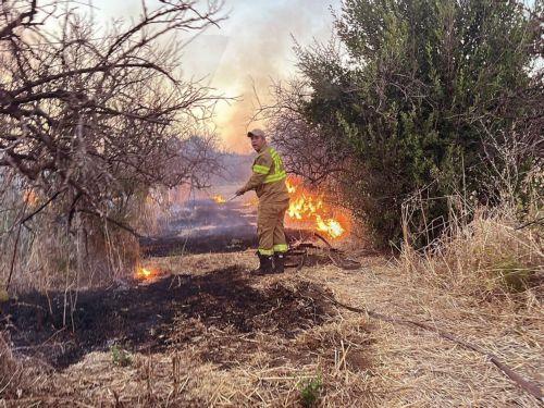 Χωρίς ενεργό μέτωπο η πυρκαγιά στη Χαλκιδική, σε ετοιμότητα η Πυροσβεστική για αναζωπυρώσεις
