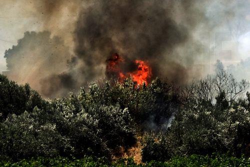 Δύο πύρινα μέτωπα στη Σαλαμίνα, υπό μερικό έλεγχο η πυρκαγιά στη Σκύρο