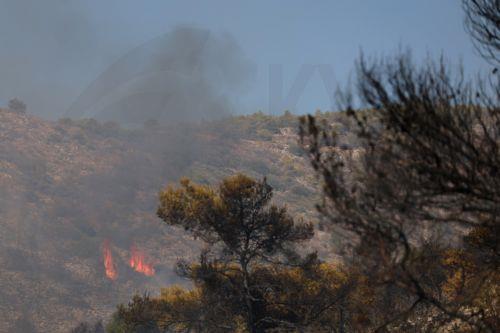 Δύο θύματα άφησε πίσω της η πυρκαγιά στη Σαλαμίνα, η φωτιά ξεκίνησε μέσα στο δάσος
